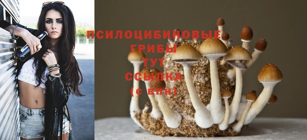 PSILOCYBIN Армянск