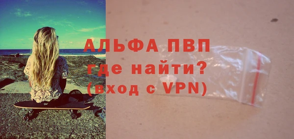 стаф Арсеньев