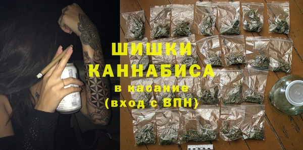 PSILOCYBIN Кодинск
