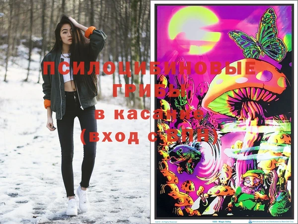 PSILOCYBIN Армянск