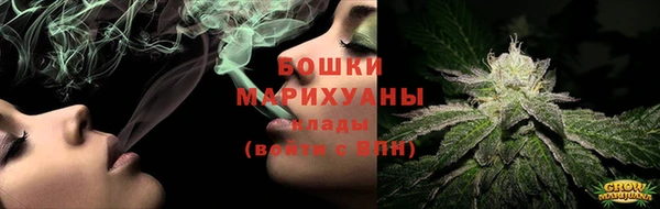 гидра Козловка