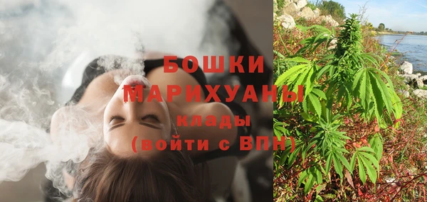 PSILOCYBIN Кодинск