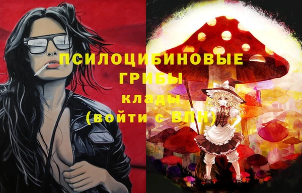 PSILOCYBIN Армянск