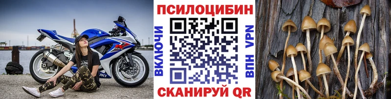 Купить закладки Благодарный Галлюциногенные грибы GOLDEN TEACHER