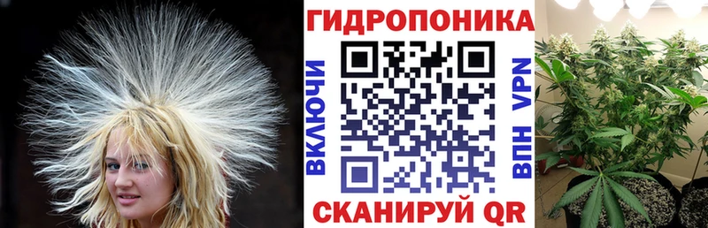 Конопля Bruce Banner Купить закладки Благодарный